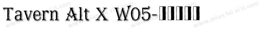 Tavern Alt X W05字体转换